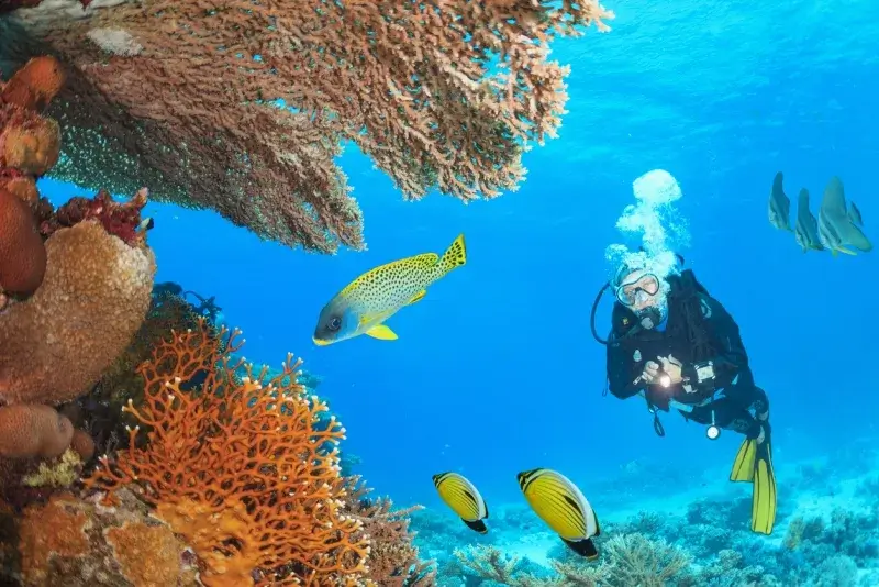 Marsa Alam